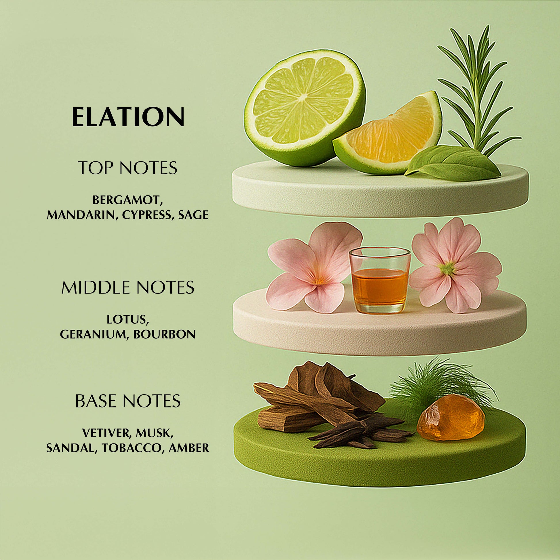 ELATION FOR MEN - 18ML