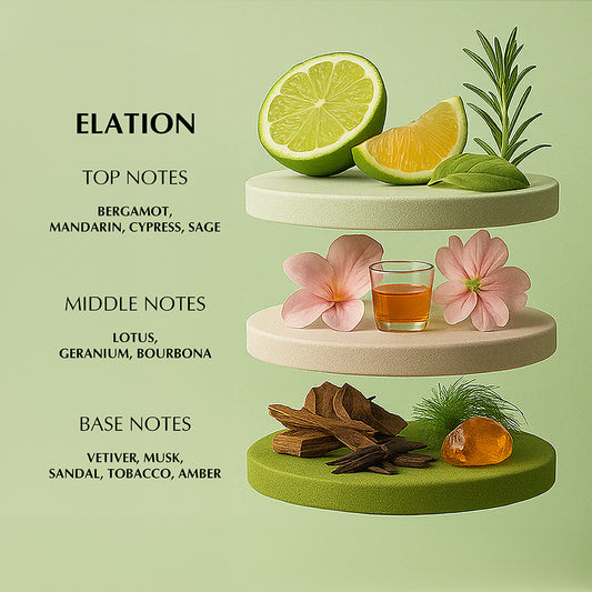 ELATION - 3ML | MEN's EDP TESTER