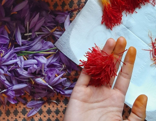 Rich red saffron threads