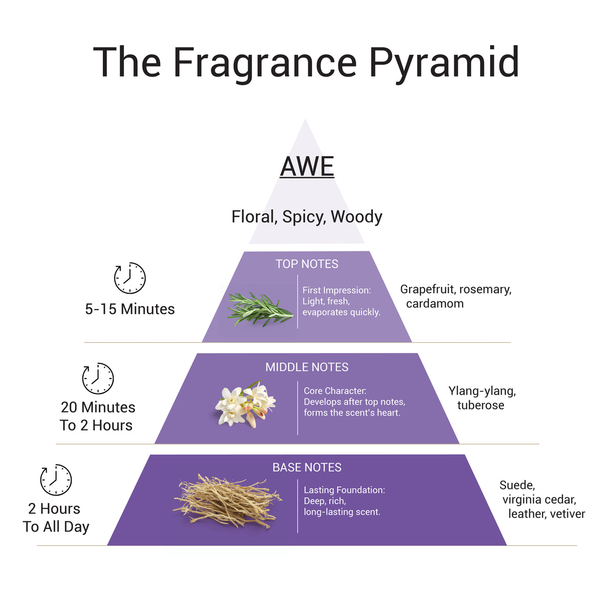 Awe - EDP For Her
