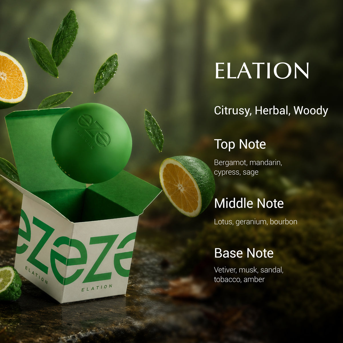 Elation - EDP For Him