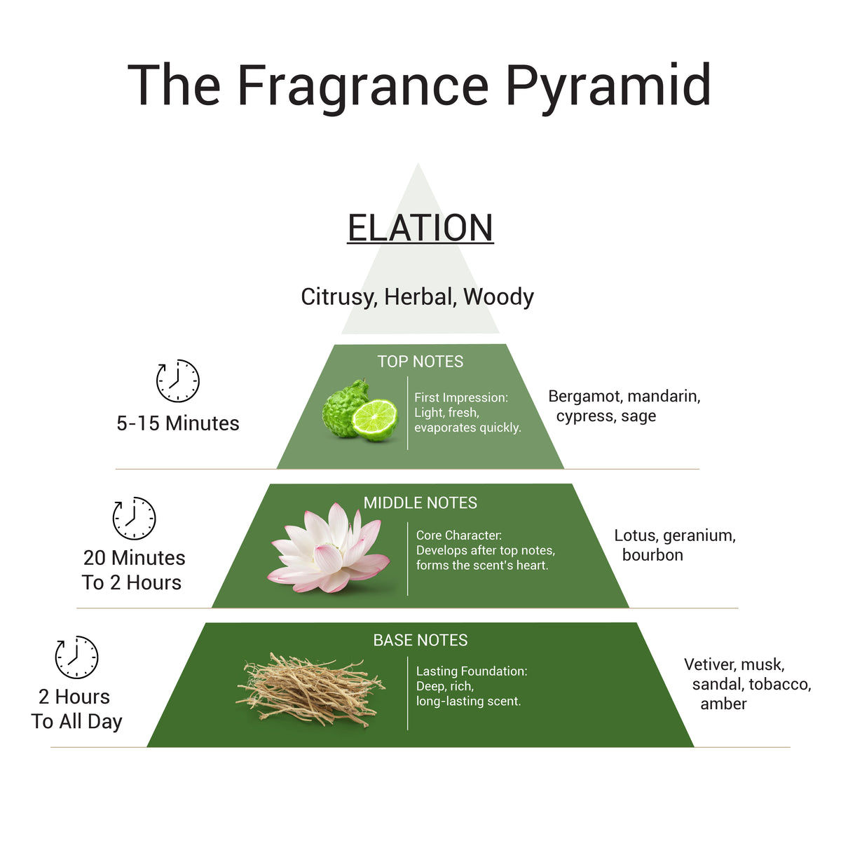 Elation - EDP For Him