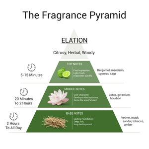 Elation - EDP For Him