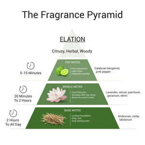 Elation - EDP for Him | 18Ml