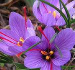 note image
