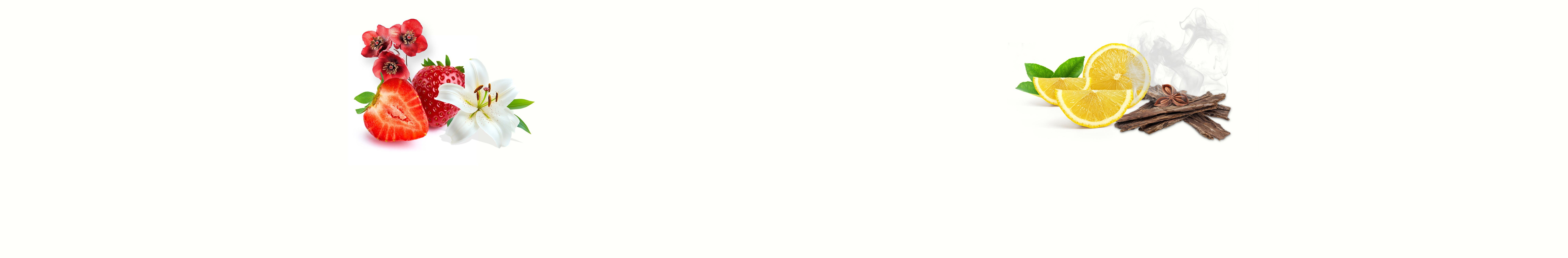 banner-mobile-image