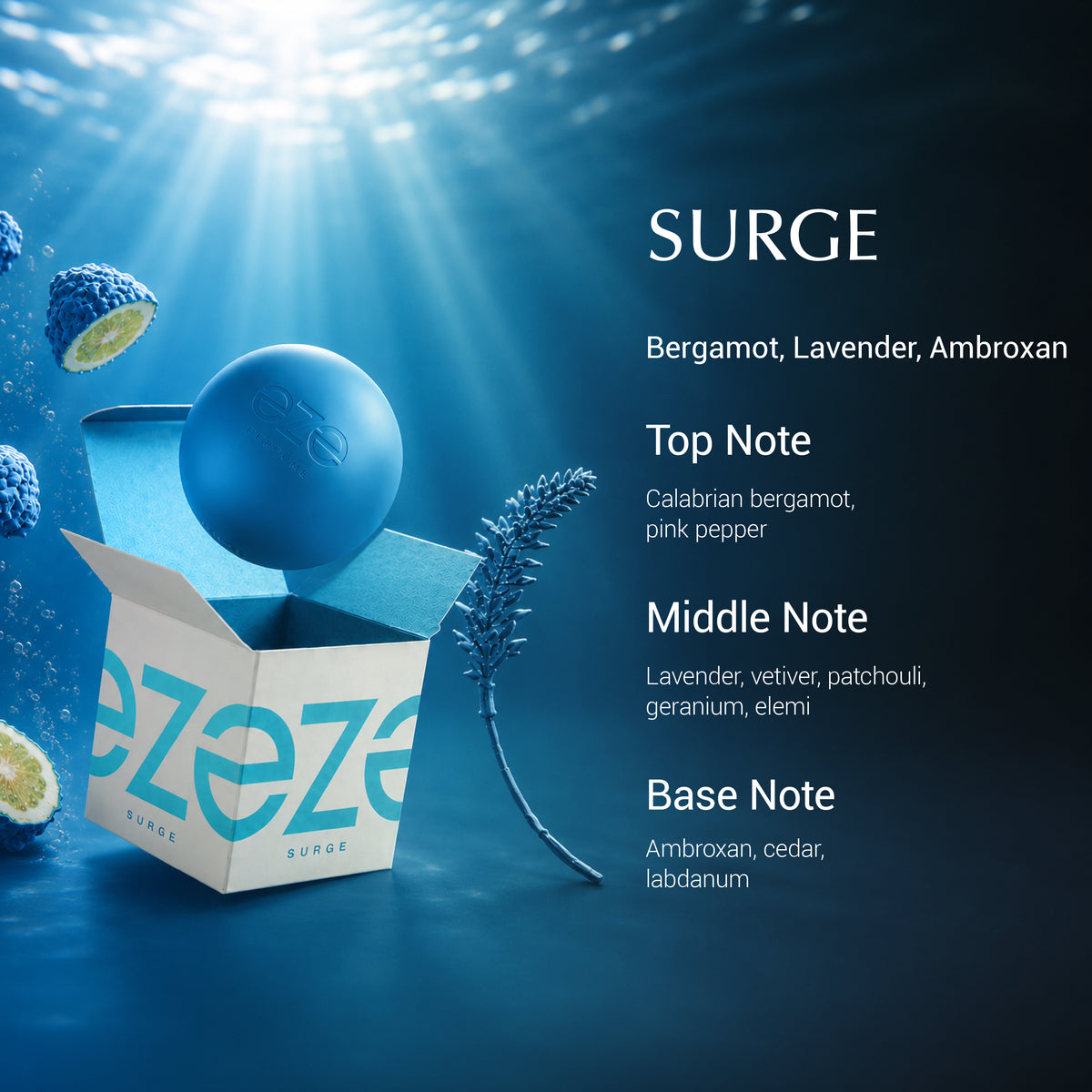 Surge  - EDP For Him
