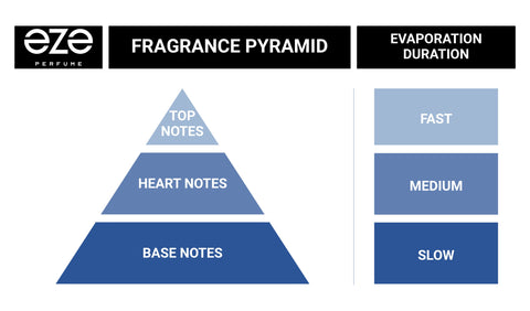 Fragrance pyramid showing top, heart and base notes