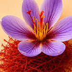 note image